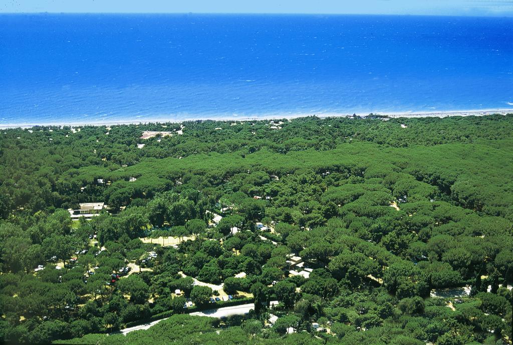 מרינה די ביבונה Le Esperidi Camping Ecoresort מראה חיצוני תמונה