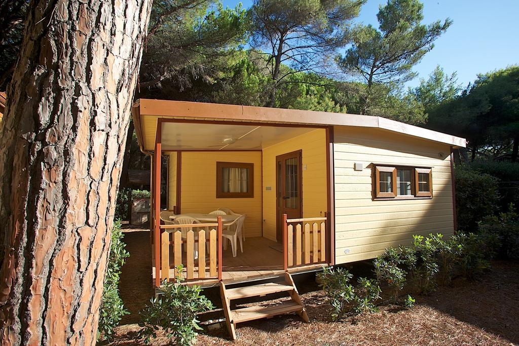 מרינה די ביבונה Le Esperidi Camping Ecoresort חדר תמונה