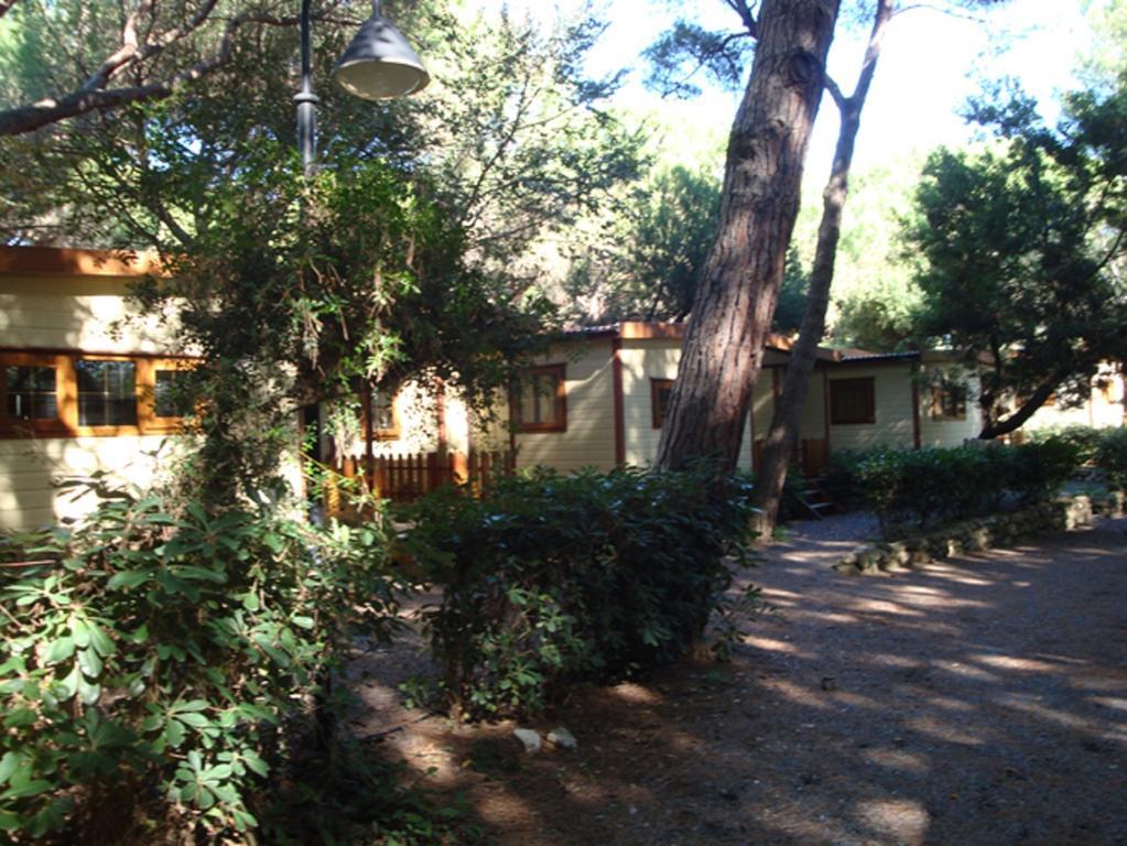 מרינה די ביבונה Le Esperidi Camping Ecoresort מראה חיצוני תמונה